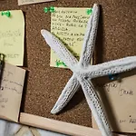 Stella Di Mare * Bari